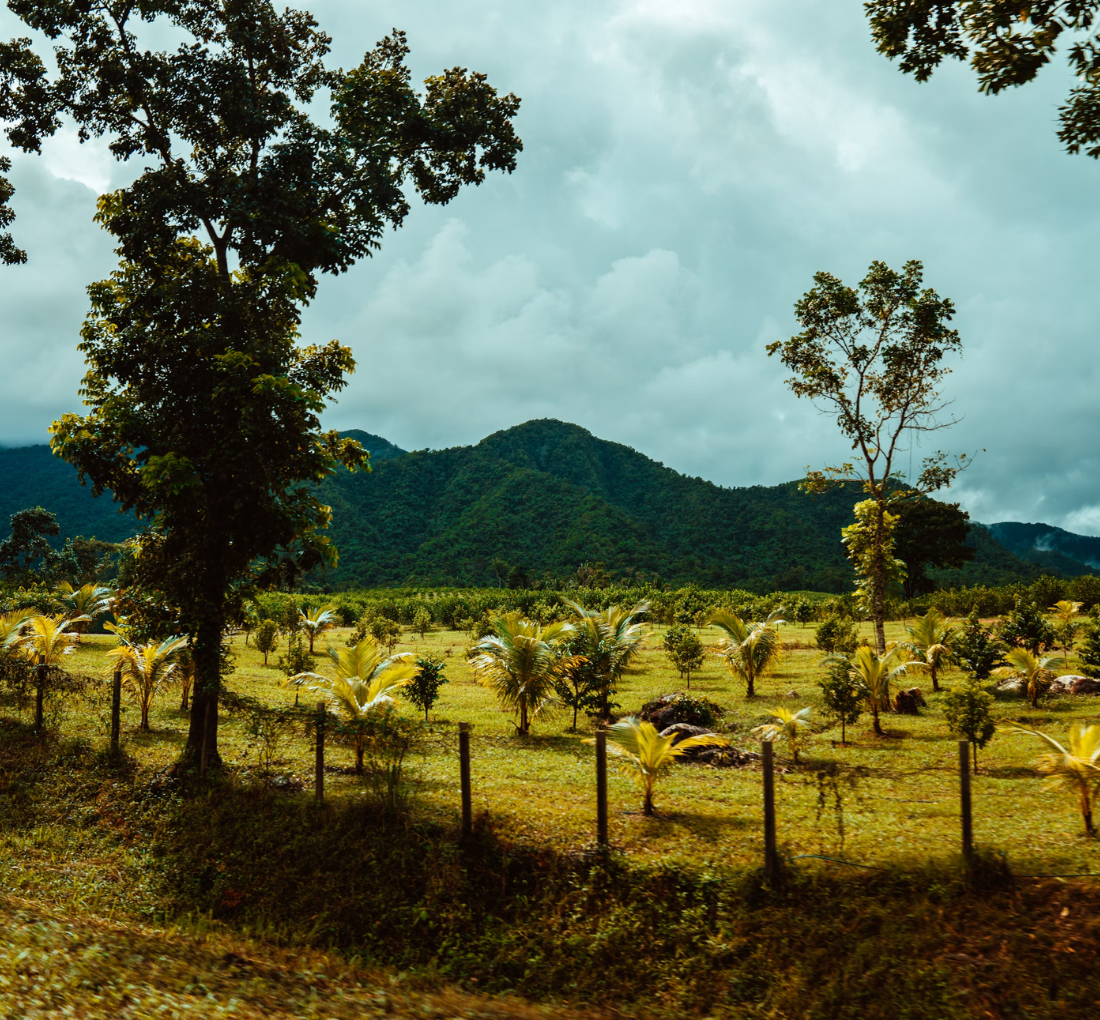 Belize