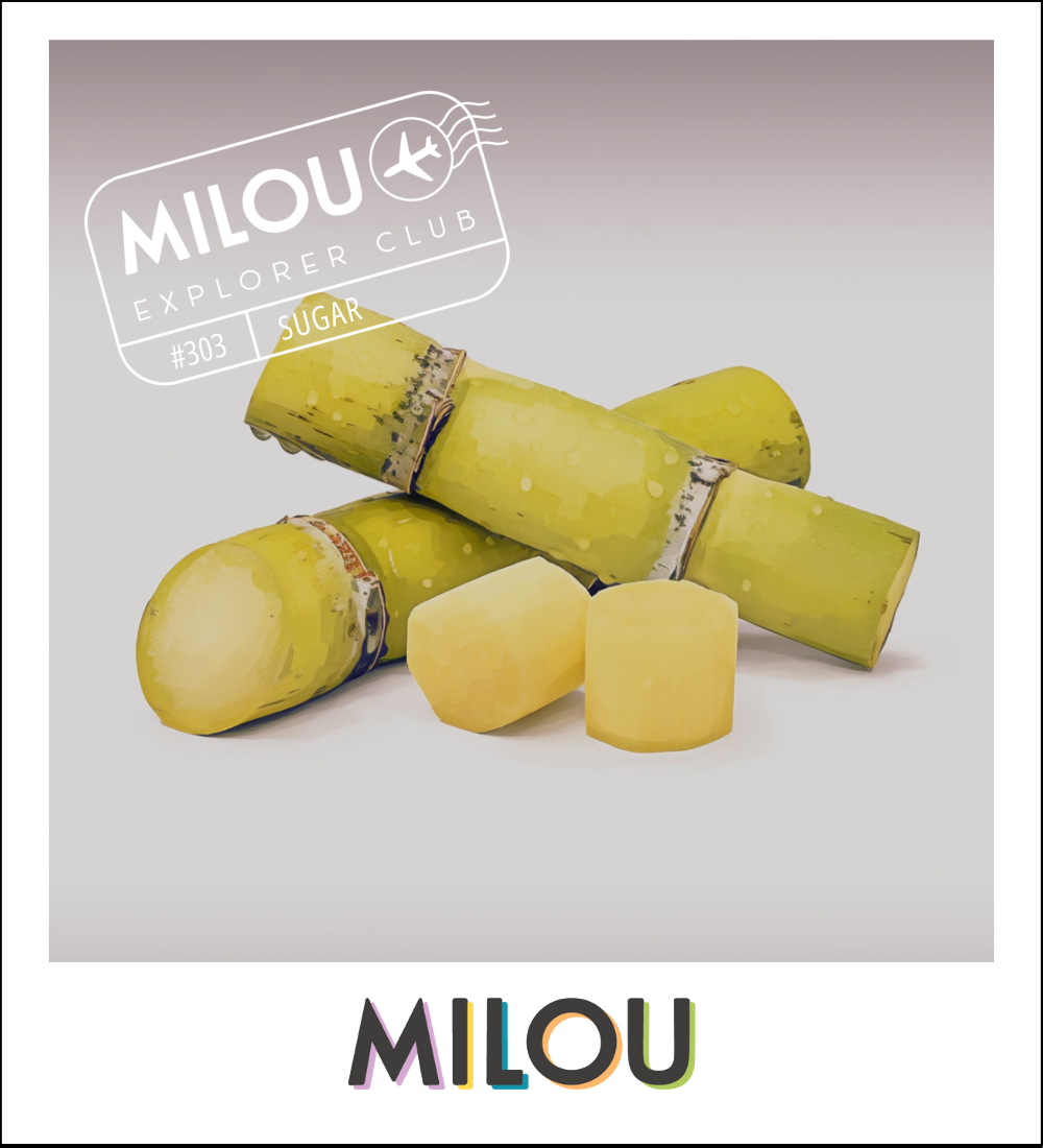 Milou Chocolate Co.