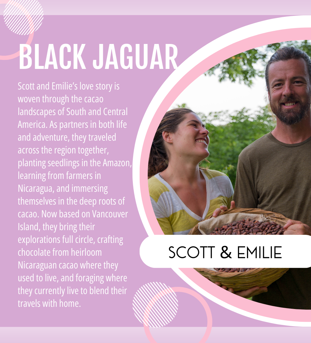 Love at First Bite: A Valentine’s Collection